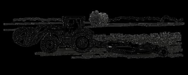 Flora Right Border Decoration