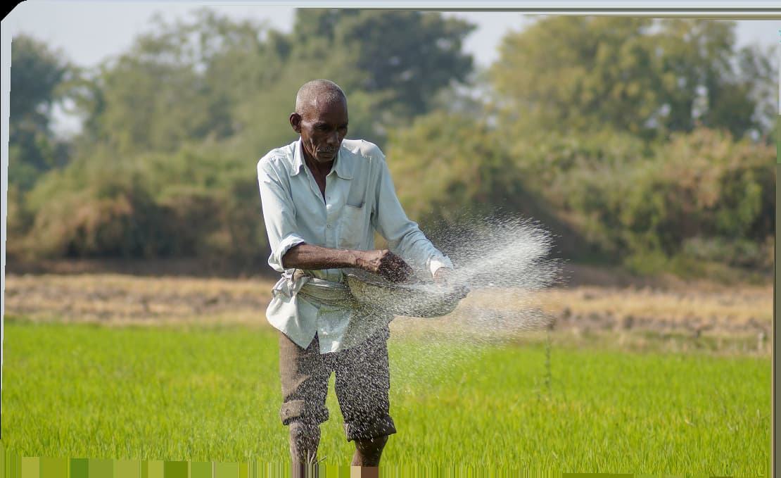 Flora Fertichem - Card 1